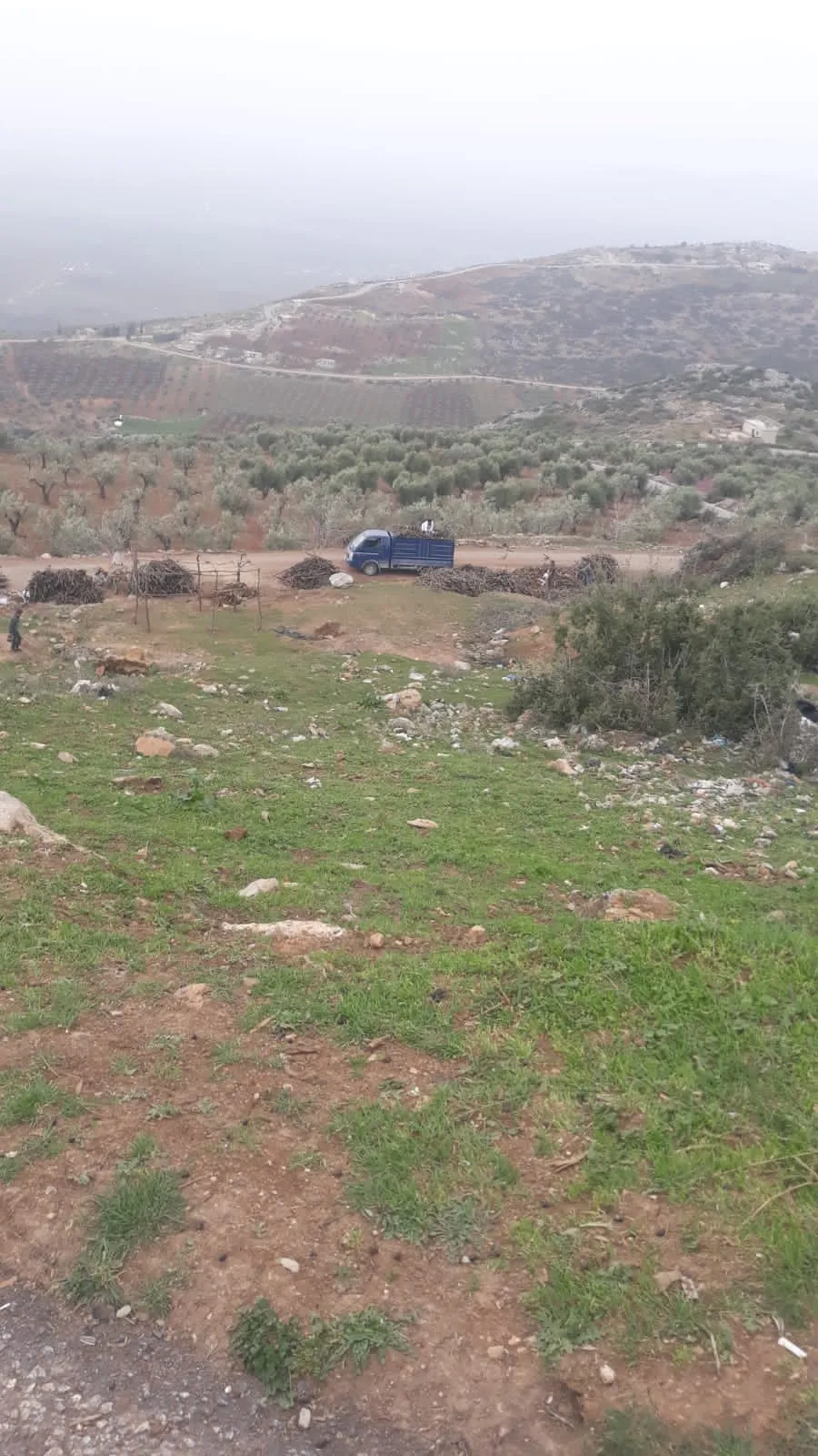 Li Efrînê sûcên dewleta Tirk û çeteyên wê bênavber dewam dikin