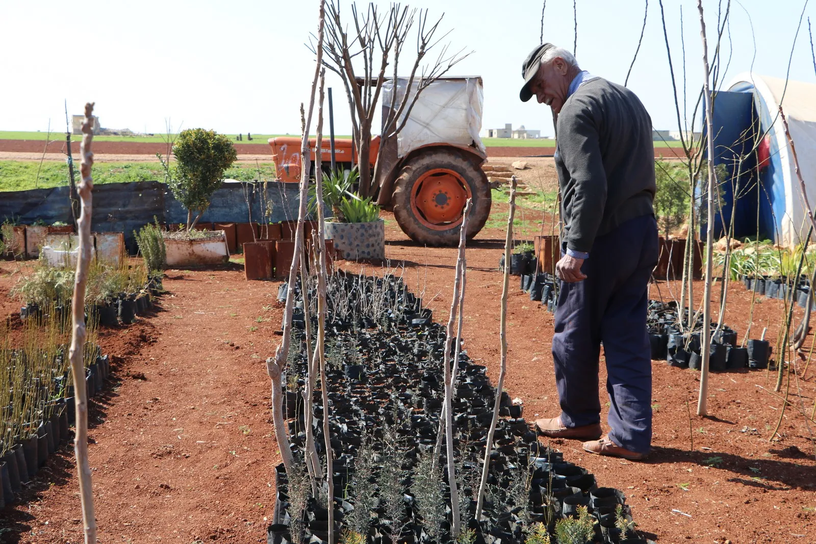 Ruxmî dorpêç û topbaranê lê efrînî di çandiniyê de bi israr in