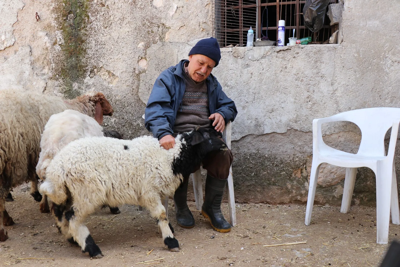 ​​​​​​​Bi xwedîkirina pez û mirîşkan li hember ambargoyê disekine