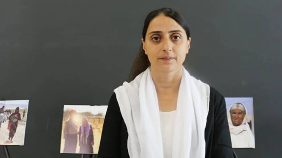 ​​​​​​​Feleknas Ûca: Werin em dengê gelê Şengalê bilind bikin