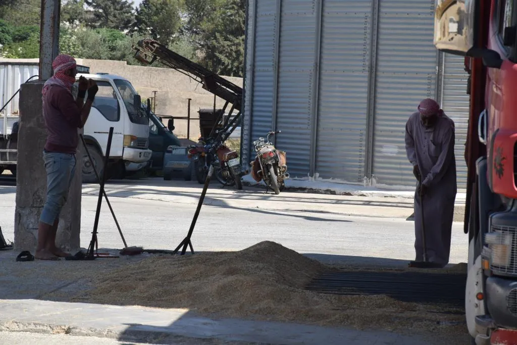 Embarên genim ên herêma Firatê heta niha bêhtirî 14 hezar ton genim wergirtin