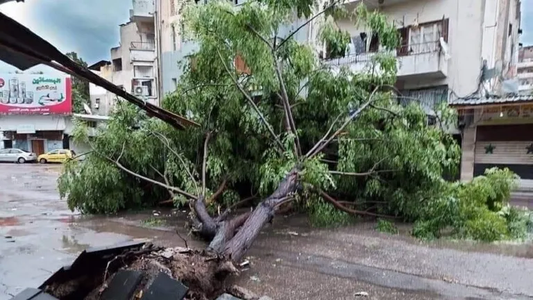 Li gelek bajarên Sûriyê ji ber barana dijwar û birûskan ziyan çêbûn