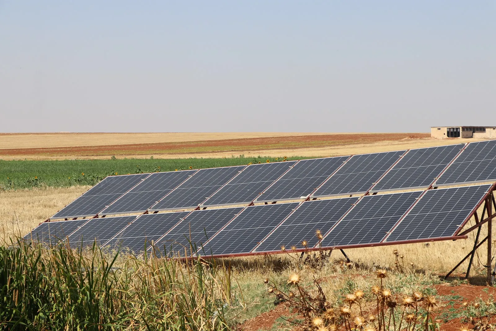 Cotkarên Şehbayê li şûna mazotê enerjiya tavê bi kar tînin