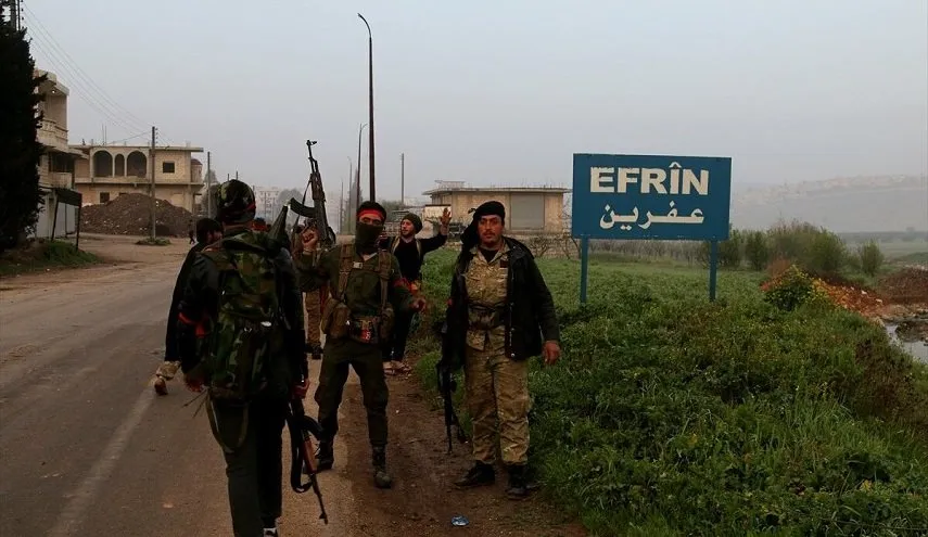 Dagirkeran li Efrînê 5 welatiyên din revandin û 110 darên zeytûnê birîn
