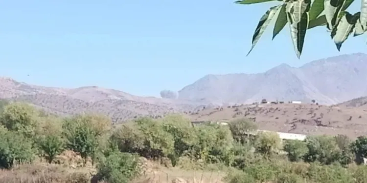 dagirekriya Tirk Biradost topbaran kir