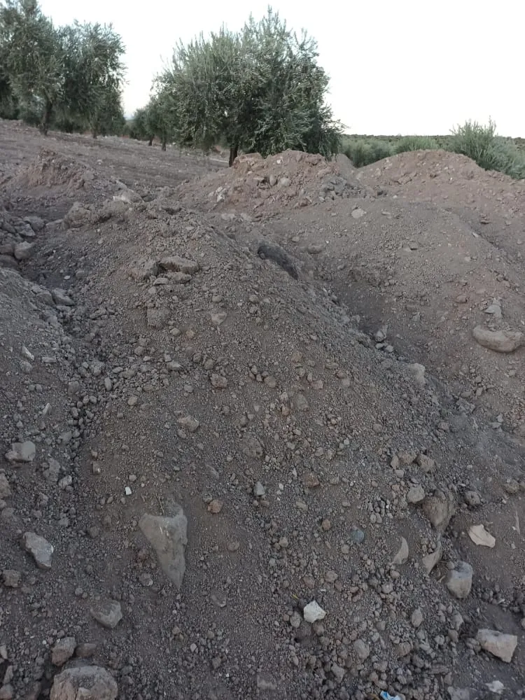 Dewleta Tirk û çeteyên wê dizîna şûnwarên Efrînê dewam dikin