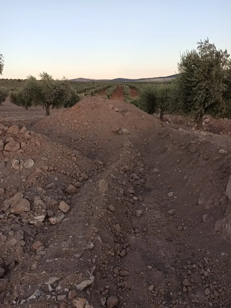 Dewleta Tirk û çeteyên wê dizîna şûnwarên Efrînê dewam dikin