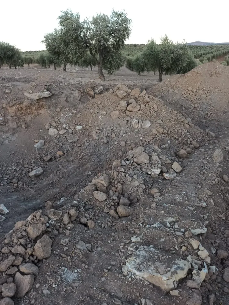 Dewleta Tirk û çeteyên wê dizîna şûnwarên Efrînê dewam dikin