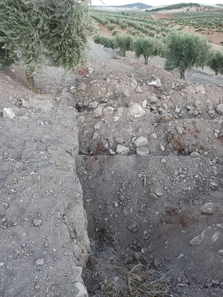 Dewleta Tirk û çeteyên wê dizîna şûnwarên Efrînê dewam dikin