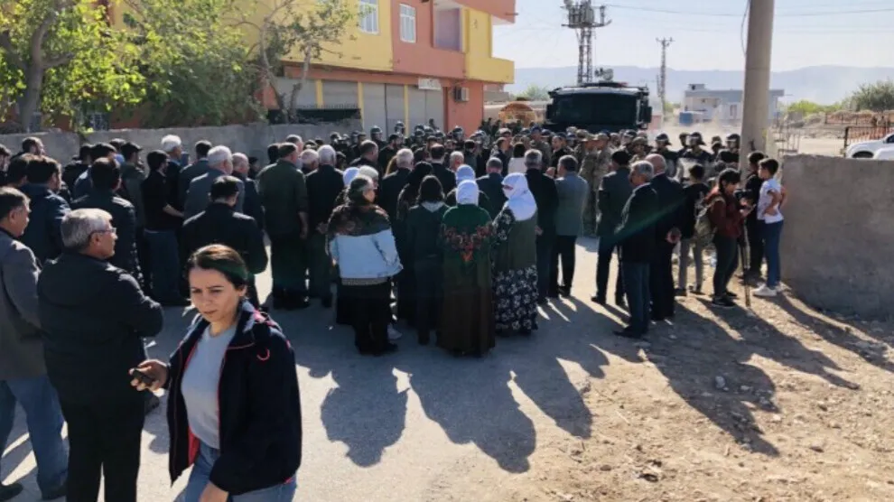 ​​​​​​​Girseya gel ji bo 'Meşa Mirovahiyê' kom bû