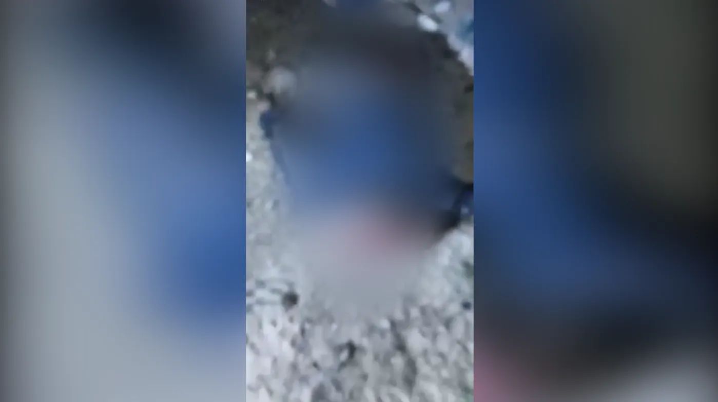 Vaye hovîtiya ku cihê gotinê nahêle