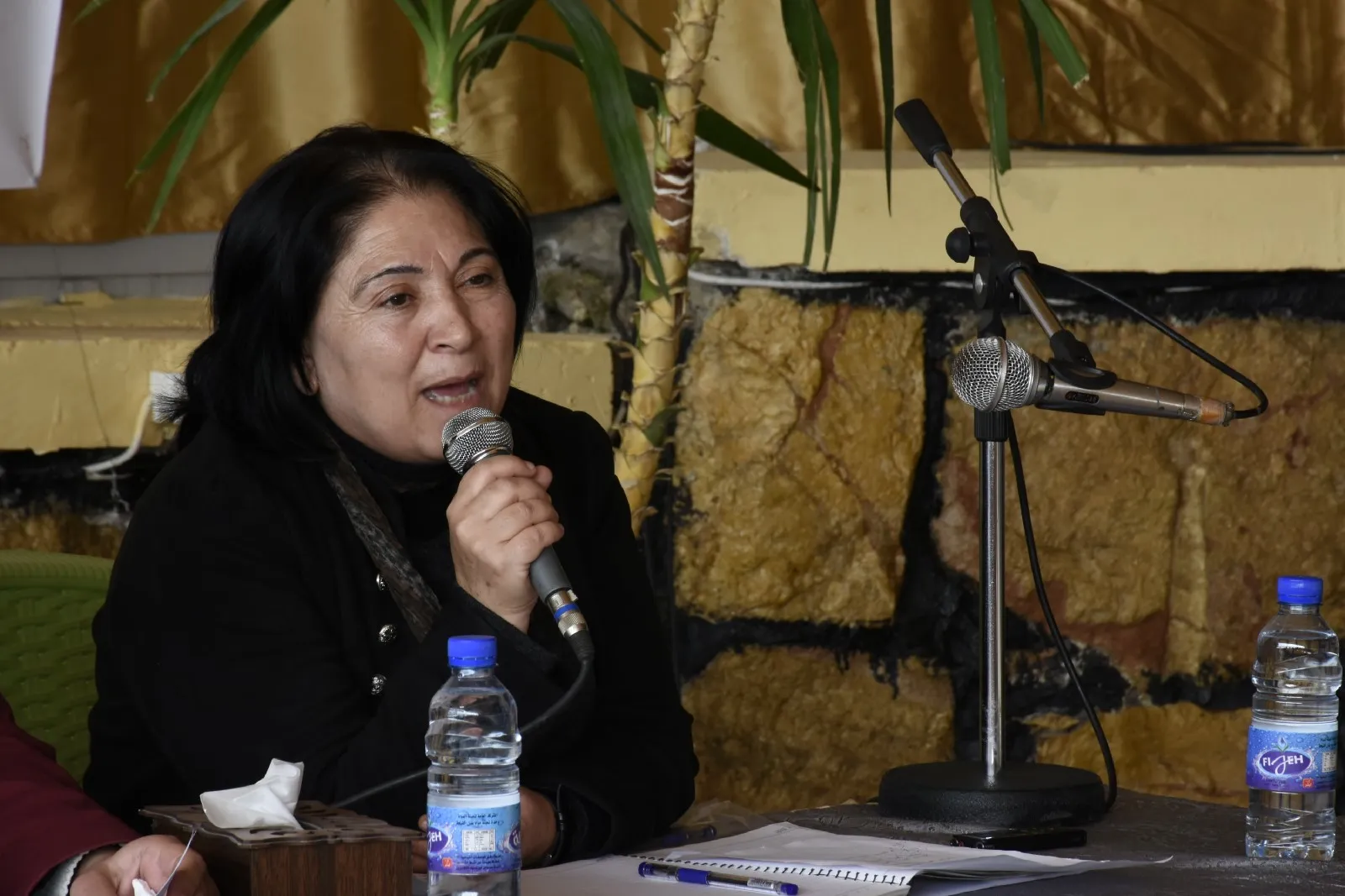MSD’ê panelek bi sernavê “rola partiyan di siyaseta demokratîk de” li dar xist