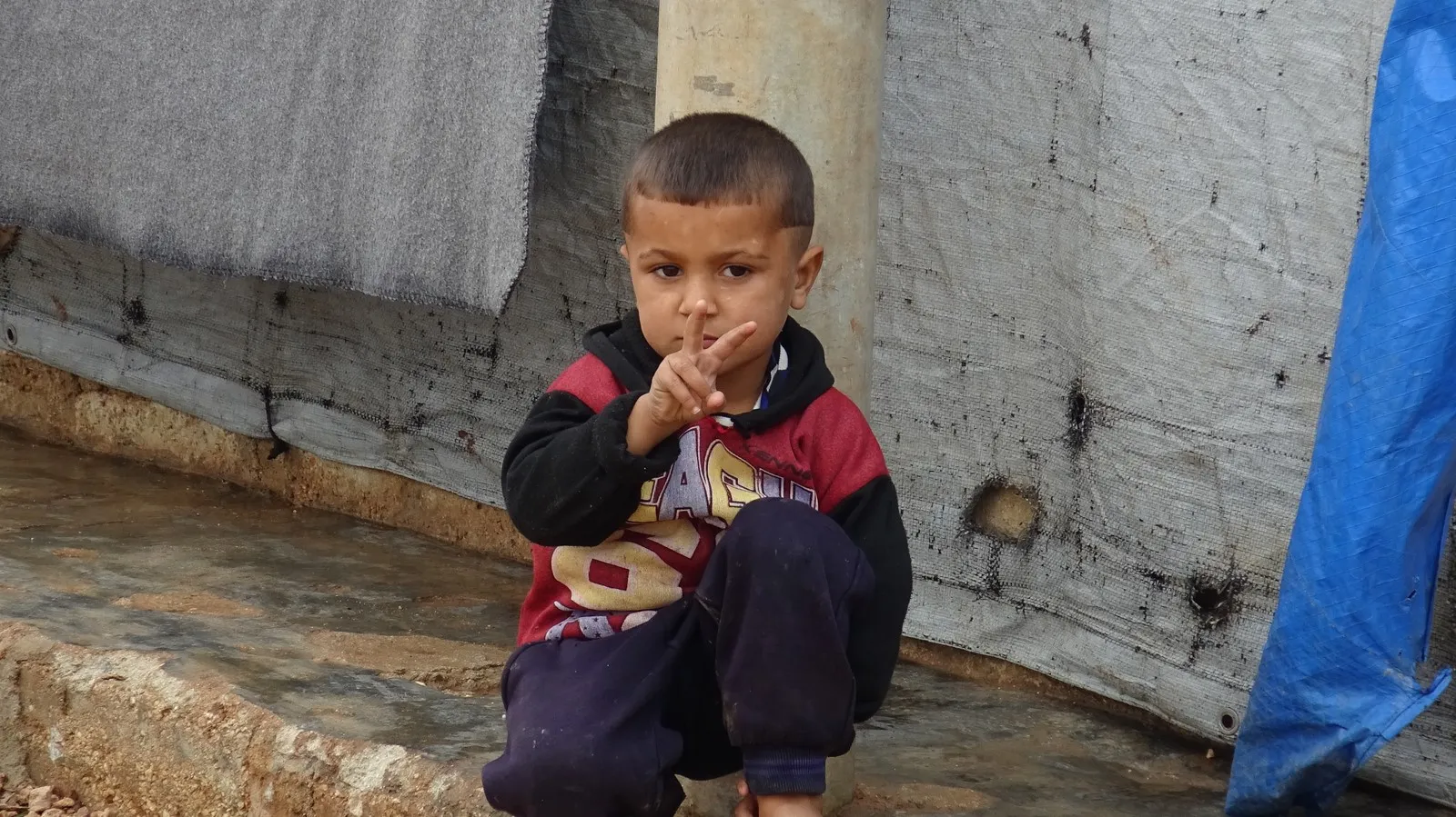 ​​​​​​​Xwarinên li ser qirşûqalan û hestên zarokan