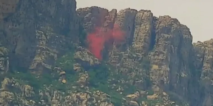 Şêniyên Dirbêsiyê daxwaza lêpirsîna êrişên bi çekên kîmyewî kir 