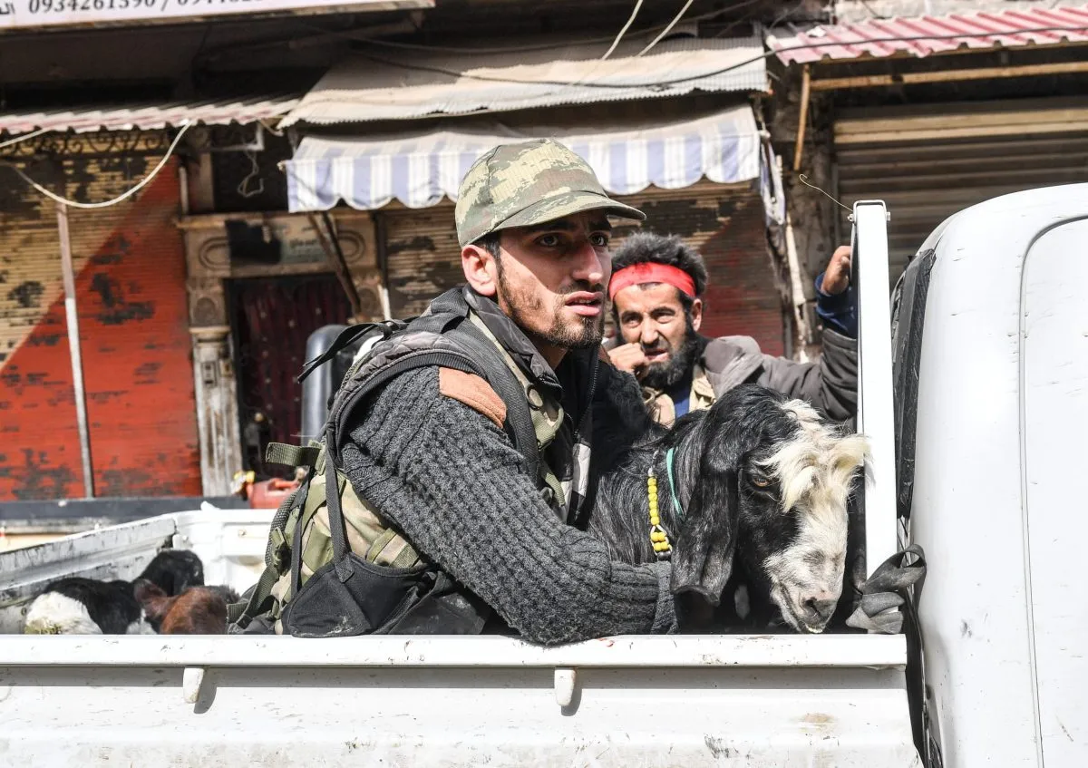 Çeteyan li Efrînê 24 serî pez dizîn