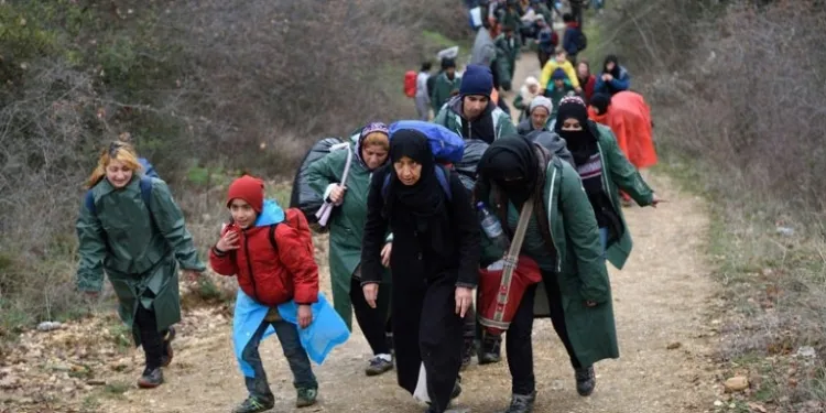 ​​​​​​​′20 hezar koçber di salekê de ji Başûr çûn Ewropayê′