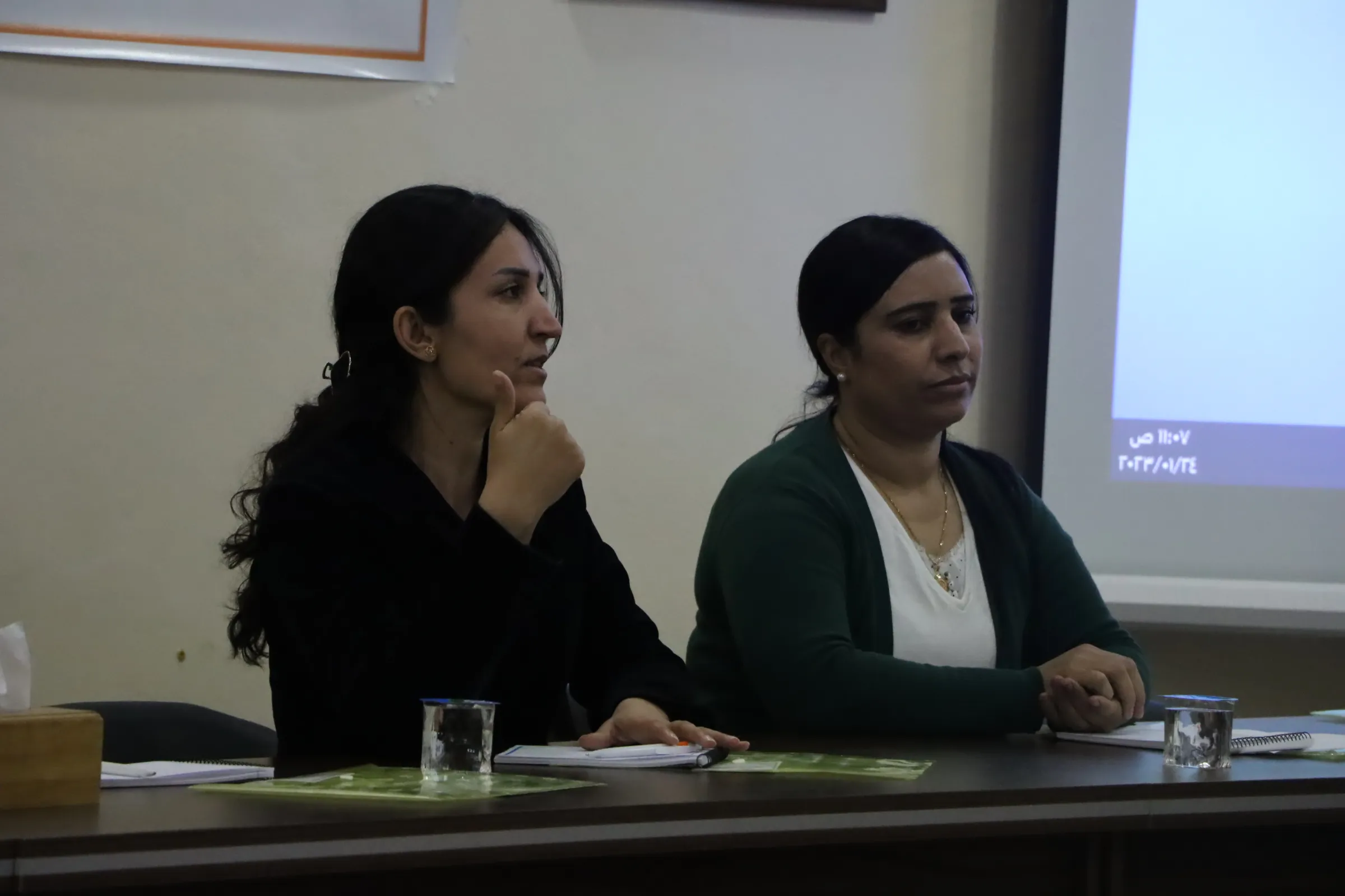 ​​​​​​​Meclisa Jinan a PYD û rêxistineke hiqûqî semînerek da