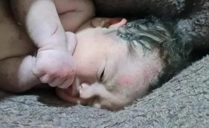 Çeteyan hewl da pitika mexdûra erdhejê birevînin û bifiroşin efserekî hikumeta Şamê