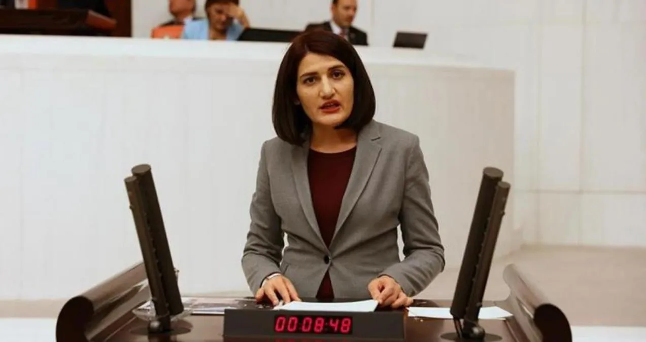 Dadgehê biryara ‘dewama dîlgirtinê’ da Semra Guzel