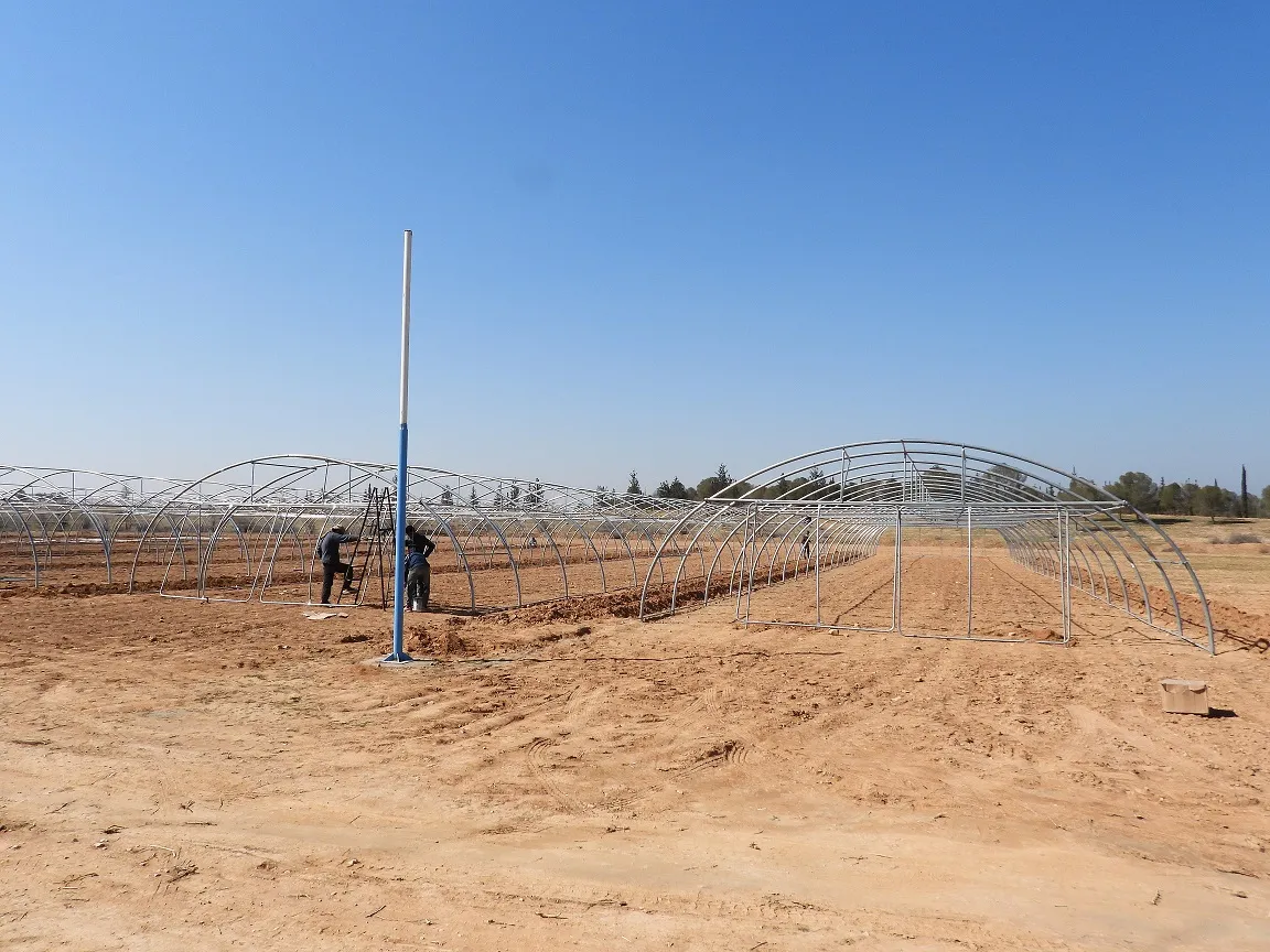 Ji bo piştgiriya aboriya jinan li Tebqayê projeyên çandiniyê