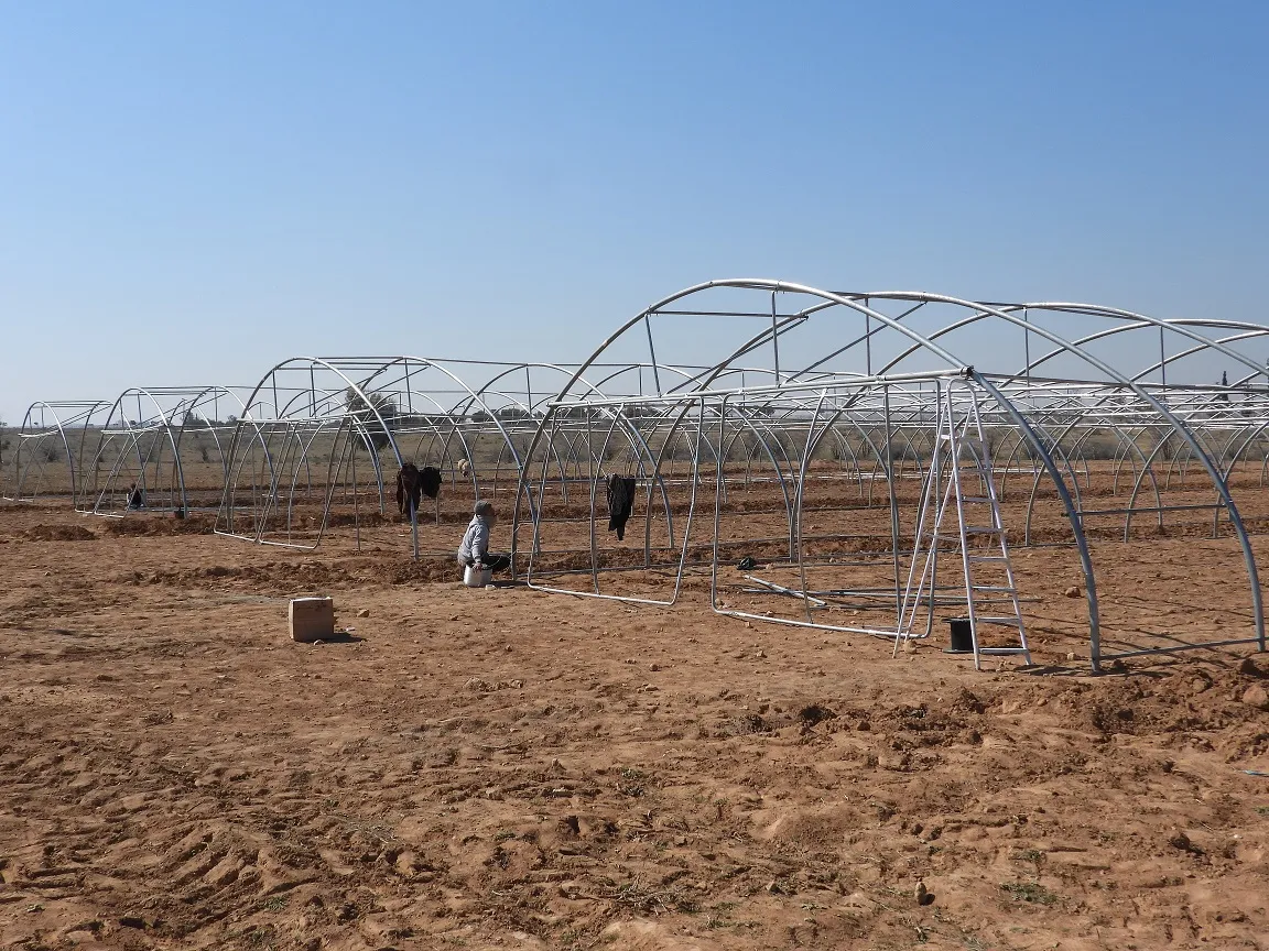 Ji bo piştgiriya aboriya jinan li Tebqayê projeyên çandiniyê