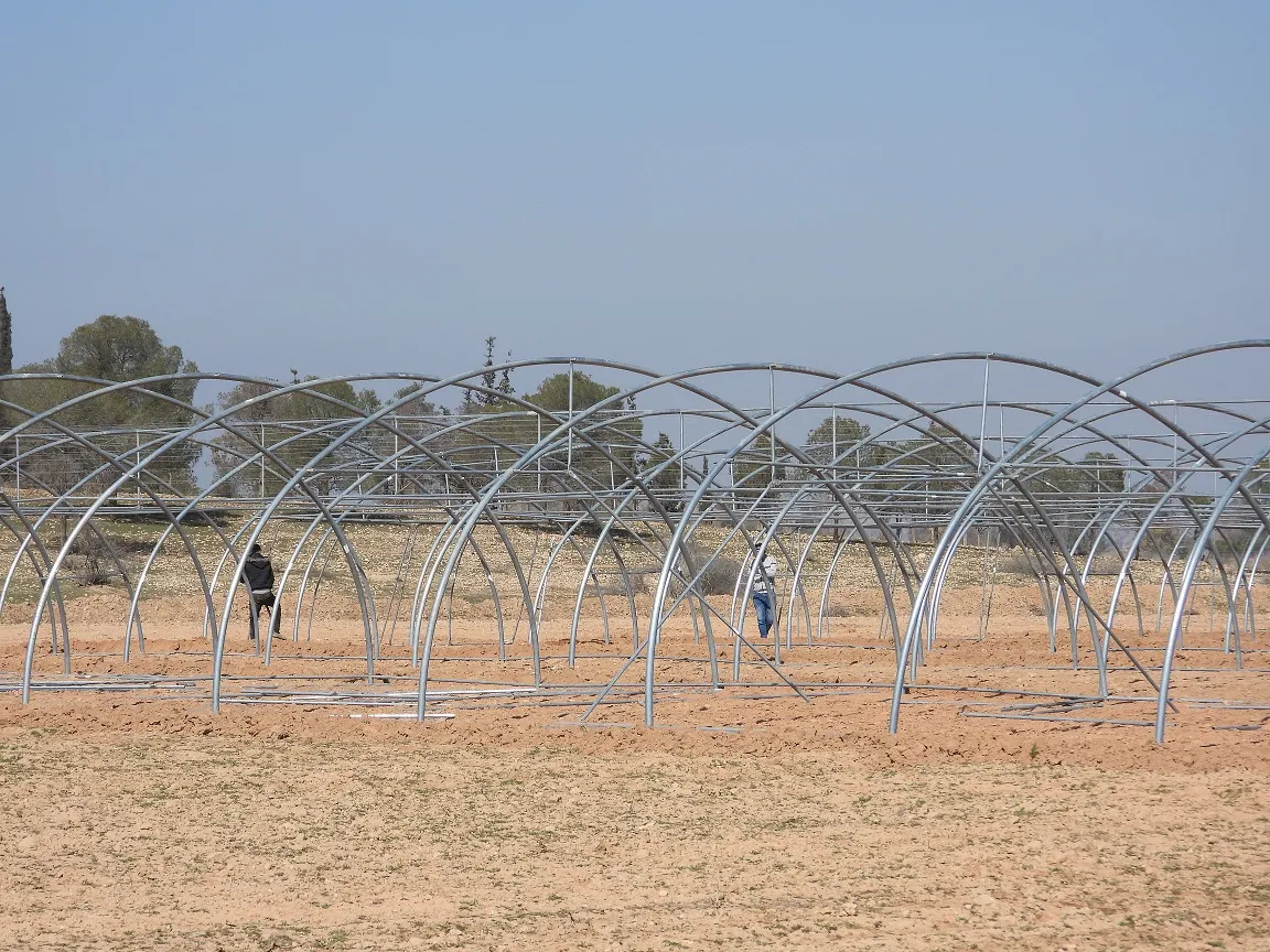 Ji bo piştgiriya aboriya jinan li Tebqayê projeyên çandiniyê