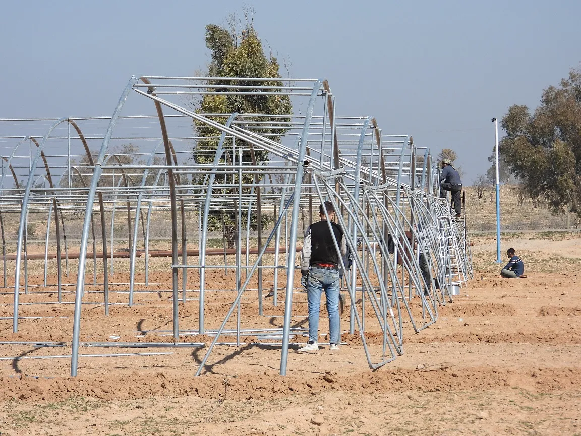 Ji bo piştgiriya aboriya jinan li Tebqayê projeyên çandiniyê