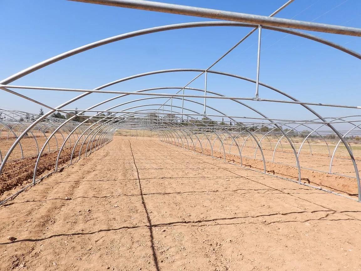 Ji bo piştgiriya aboriya jinan li Tebqayê projeyên çandiniyê