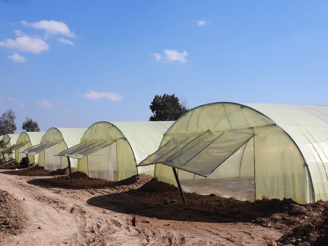 ​​​​​​​Rêveberiya Kooperatîfan aTebqayê 20 baxçeyên sergirtî danîne