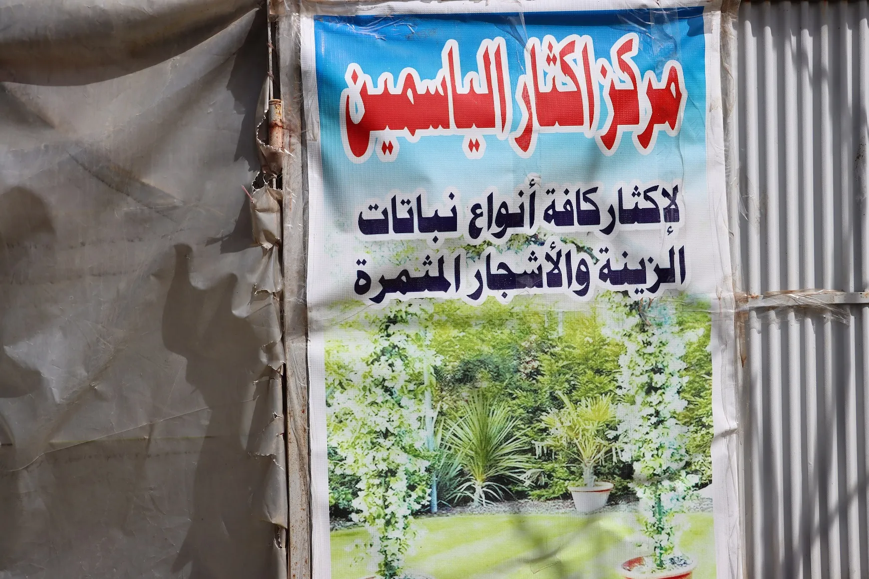 Şênkayî û dar li şitilgehên Bakur û Rojhilatê Sûriyeyê tên zêdekirin