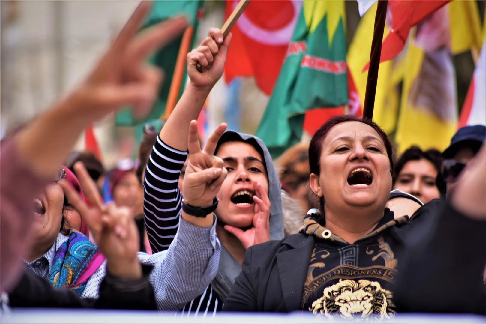 ​​​​​​​Şêniyên Hesekê banga rizgarkirina Efrînê kir