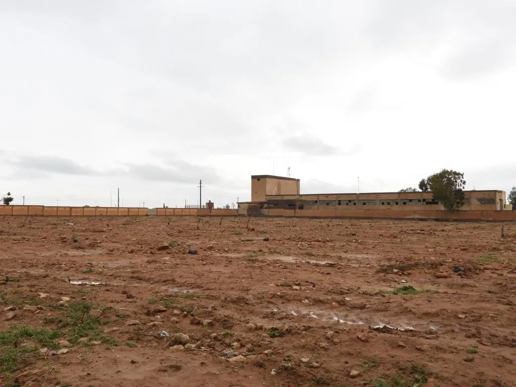 Dê li Tebqayê 50 hezar dar bên çandin