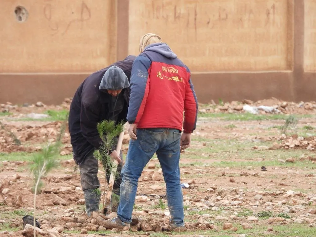 Dê li Tebqayê 50 hezar dar bên çandin