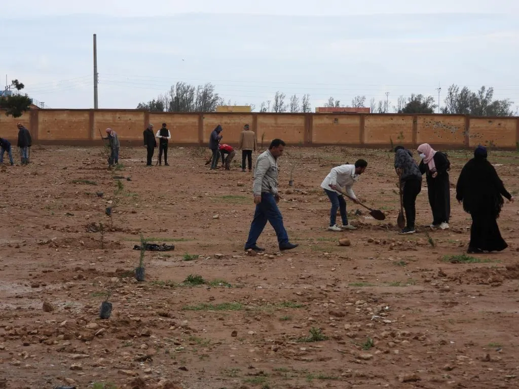 Dê li Tebqayê 50 hezar dar bên çandin