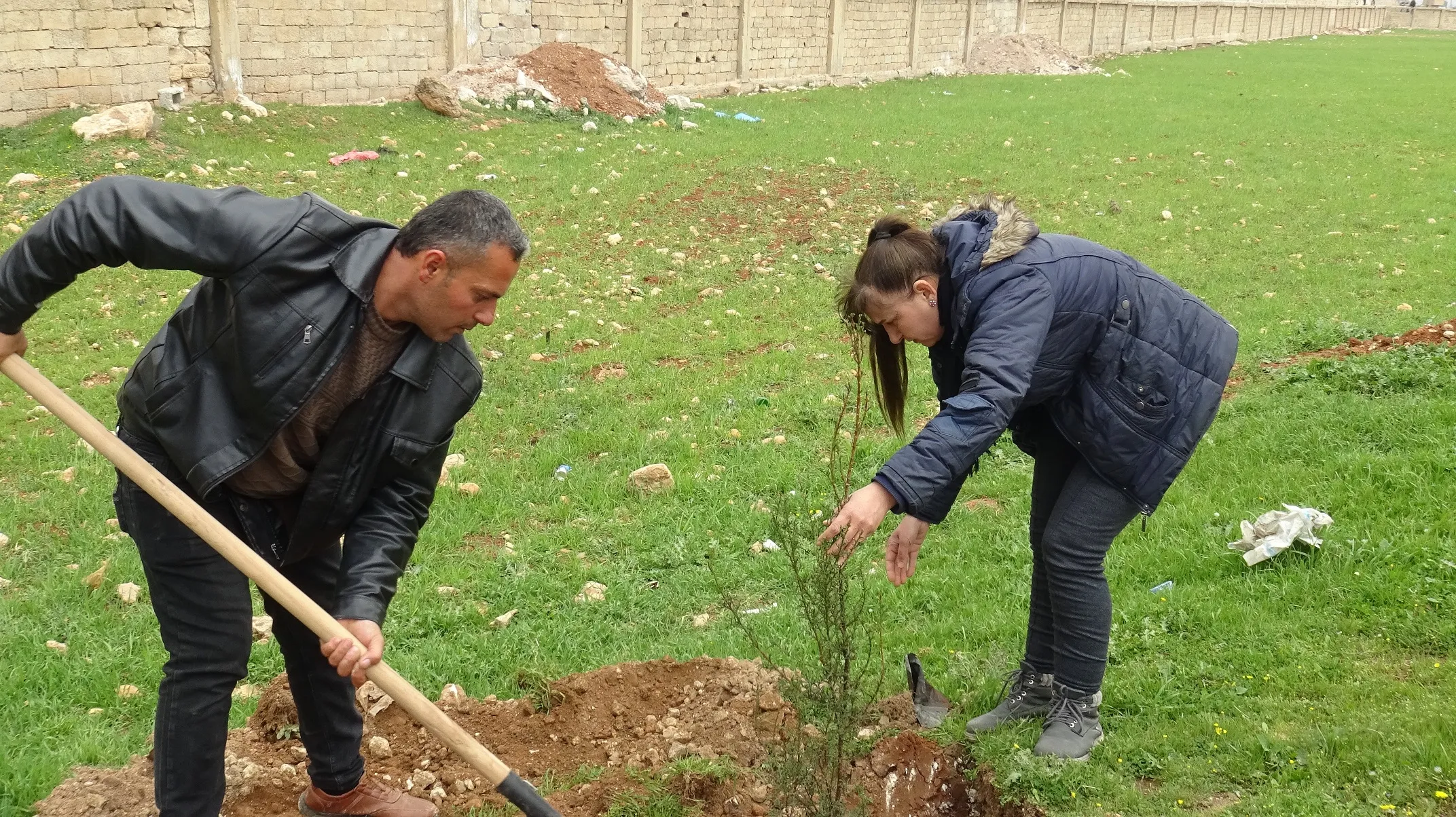 Hemleya dar çandinê li Şehbayê didome