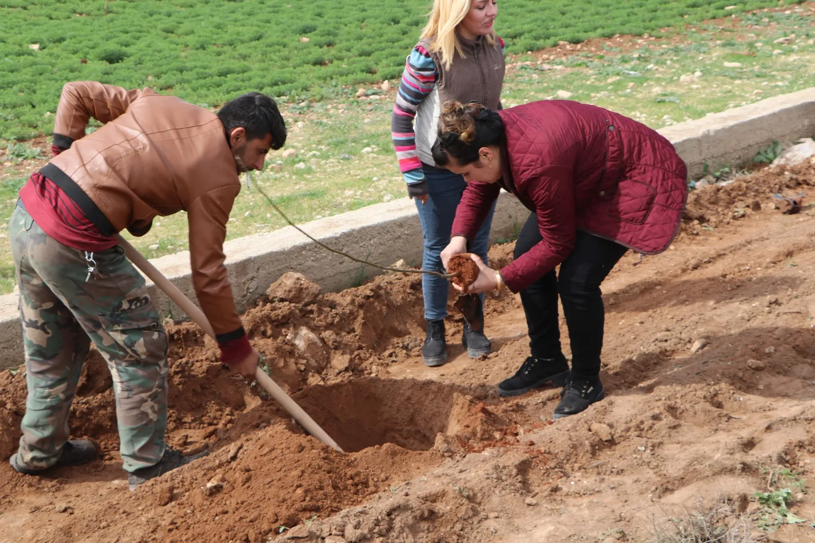 Ji bo zêdekirina qadên şînkahiyê: Nêzî 8 hezar şitil li Şehbayê hatin çandin