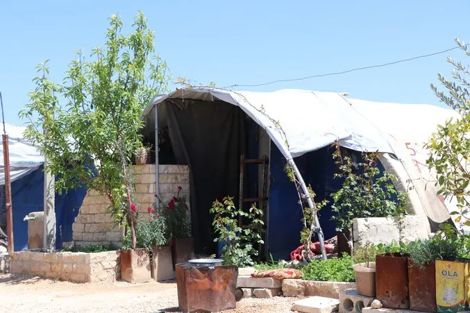 ​​​​​​​Jinên efrînî bi çandiniyê warê xwe bi bîr tînin