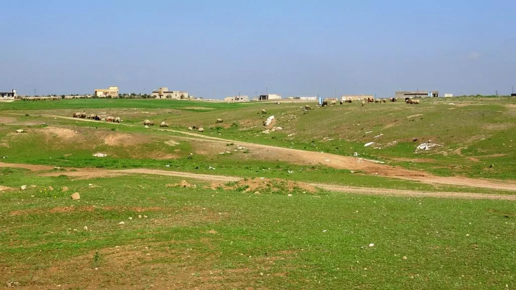 Piştî baranên vê dawiyê çandiniya li herêmê geş bû