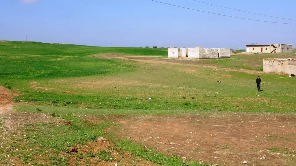 Piştî baranên vê dawiyê çandiniya li herêmê geş bû
