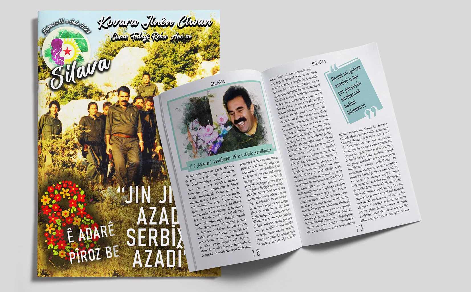 ​​​​​​​Hejmara nû ya kovara Silava derket