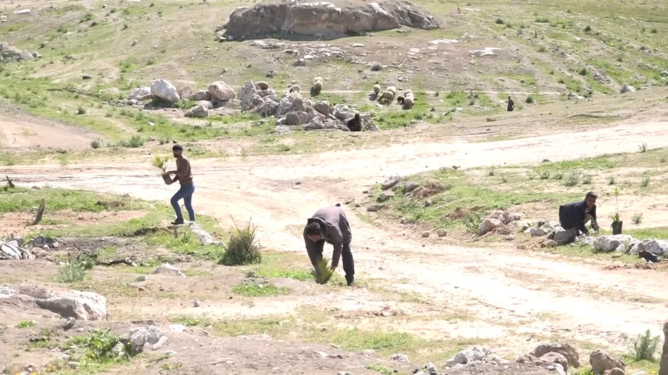 Li Reqa, Hesekê û Qamişlo pîrozbahiyên 4`ê Nîsanê
