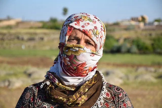 Dema çinîn û amadekirina Firîk