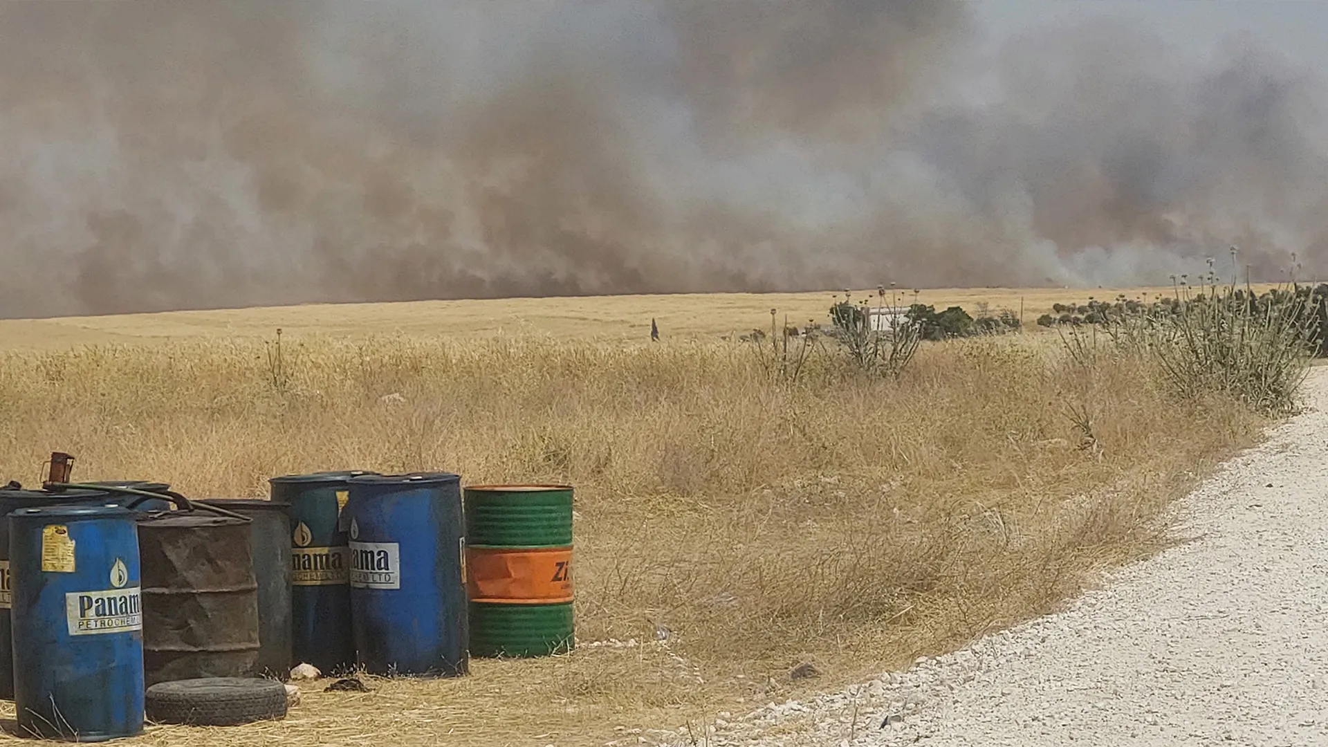 Li 6 gundên Kobanê agir bi zeviyan ket
