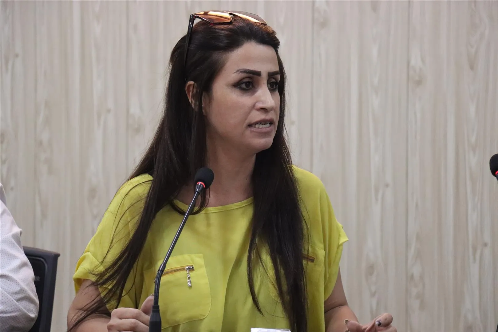 'Beyannameya çareseriyê li gorî hêmanên nîştimanî ye'