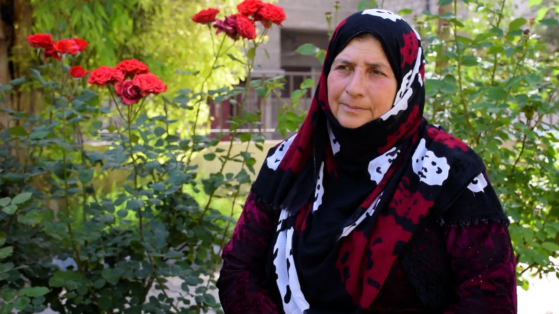 Dayikeke Kurd xewna xwe ya fêrbûna bi zimanê dayikê pêk anî