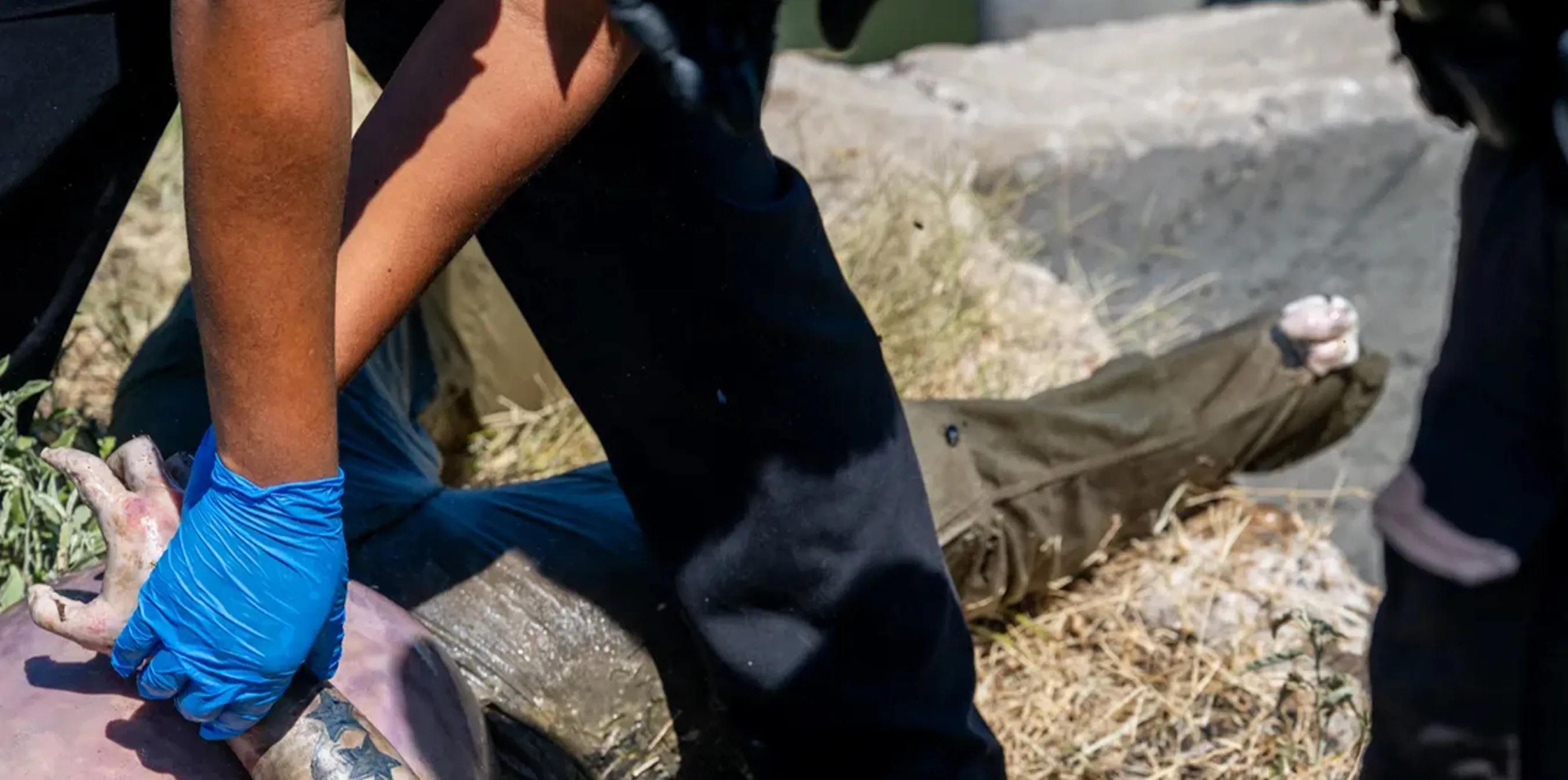 Ji ber pileya germahiyê ya zêde li Meksîkayê zêdetirî 100 kes miriye