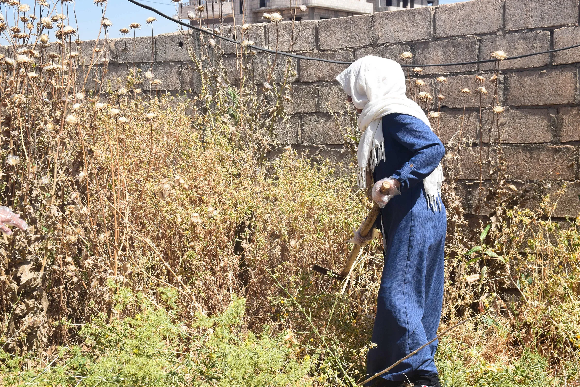Platforma Jin a Ekolojî: Pêwîste zîhniyeta ekolojîk were pêşxistin 