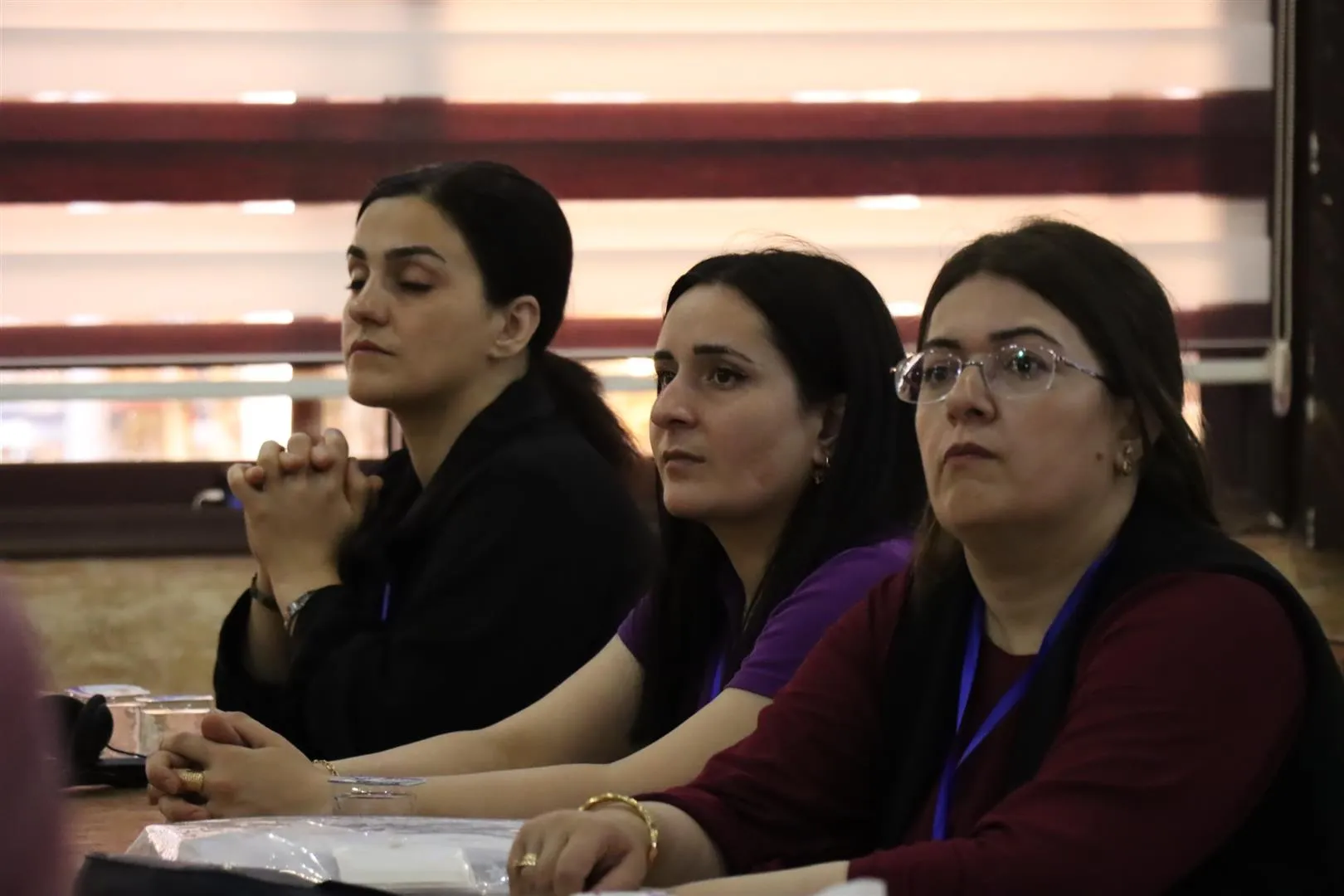 ‘Divê tecrubeya li Bakur û Rojhilatê Sûriyeyê bê parastin’