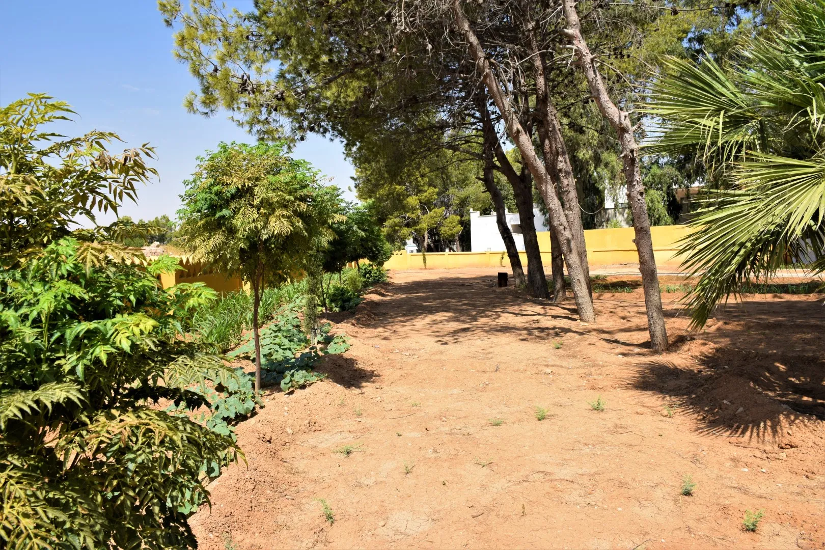 Meclisa Leşkerî ya Til Temirê parkek ava kir