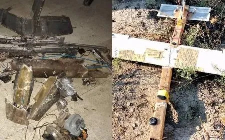 Balafirên bêmirov ên ketine nava Helebê:  Armanc û sedem